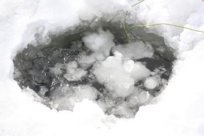 В Рязани на Борковском карьере прошёл рейд